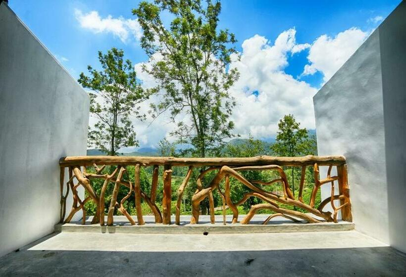 带阳台的豪华间, The Tea Tree Resort