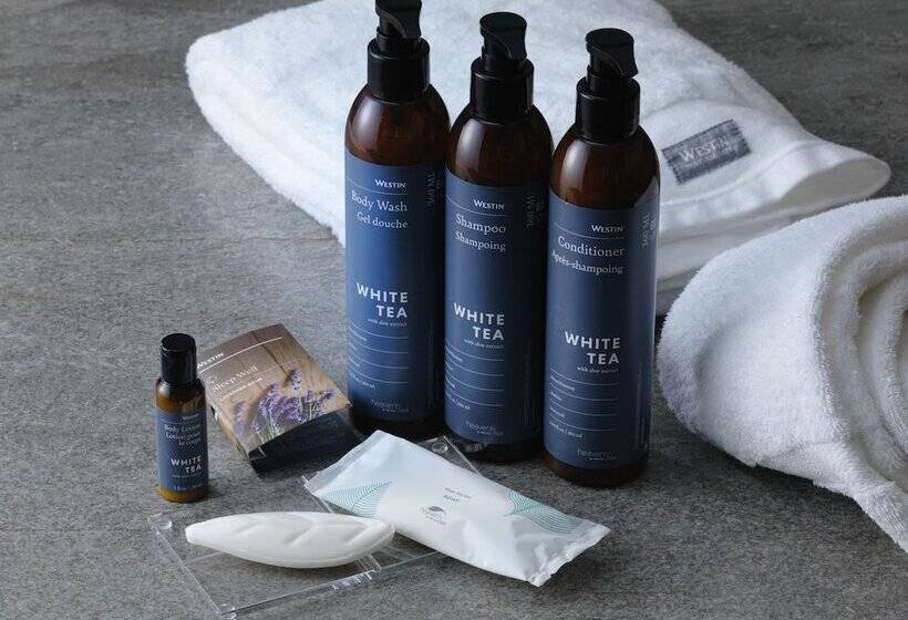 침실 2개 디럭스 아파트, The Westin Rusutsu Resort