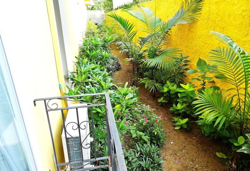 一楼标准间, Imperatriz Paraty