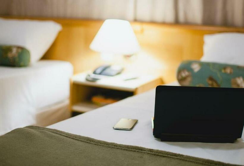 غرفة ديلوكس, Aladdin