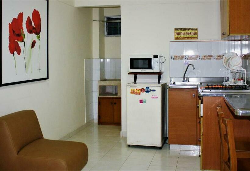 شقة غرفة واحدة, San Juan Del Lago