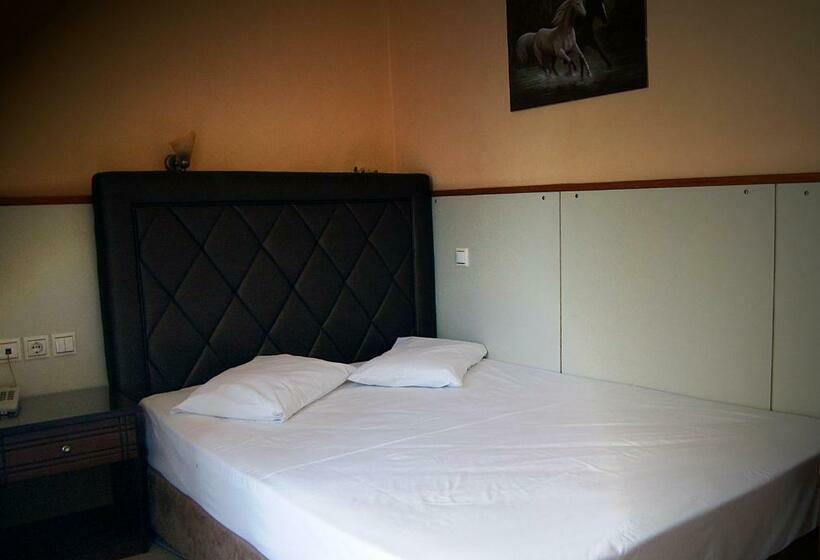 חדר סטנדרט, Diethnes