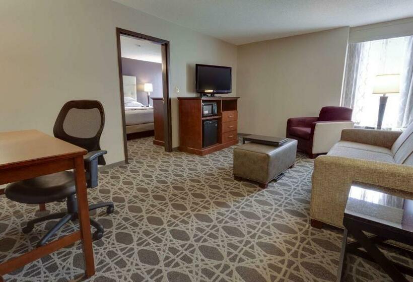 キングサイズベッドのスイートルーム, Drury Inn & Suites Overland Park