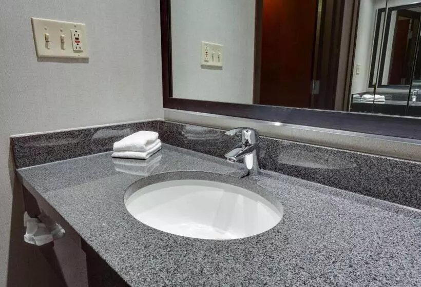 キングサイズベッドのデラックスルーム, Drury Inn & Suites Overland Park