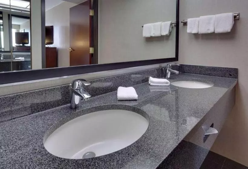 キングサイズベッドのスイートルーム, Drury Inn & Suites Overland Park