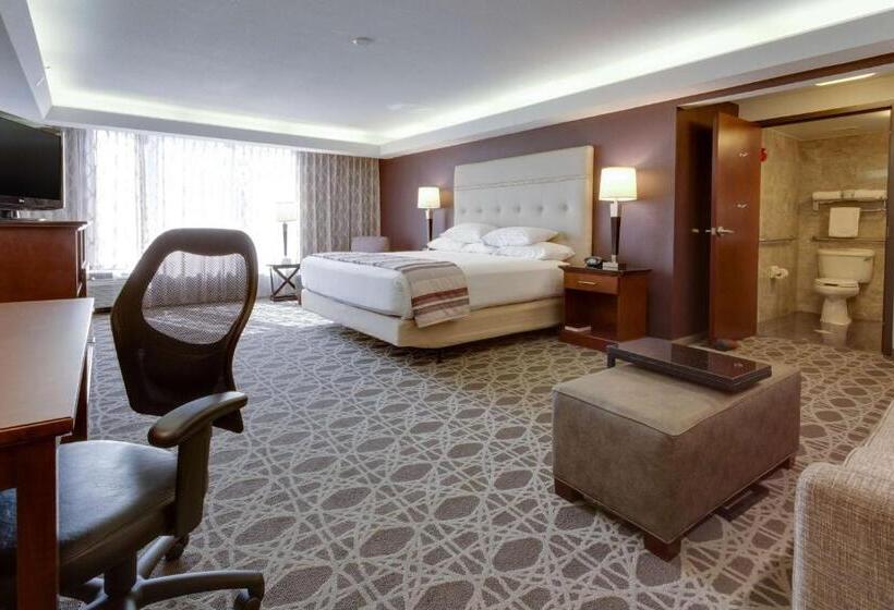 キングサイズベッドのデラックスルーム, Drury Inn & Suites Overland Park