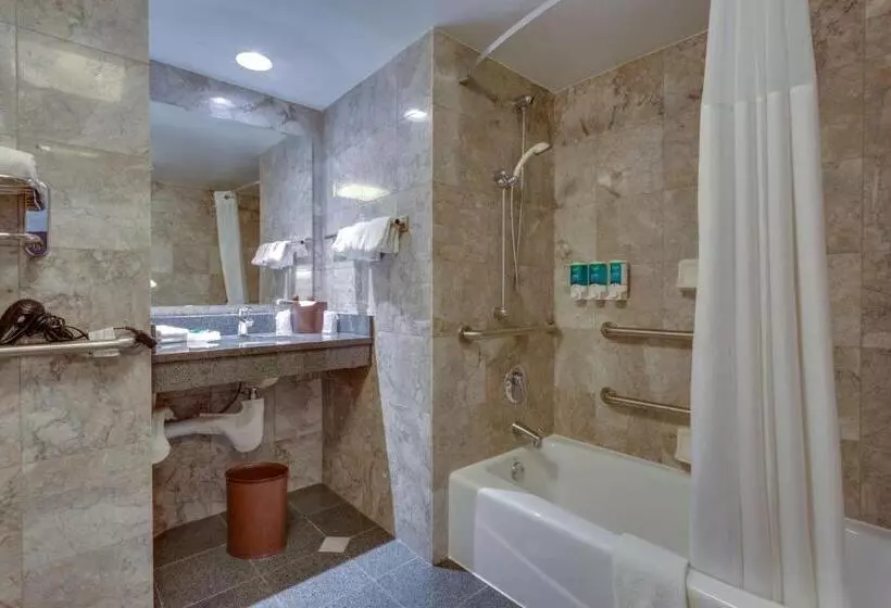 障害者適応デラックスルーム, Drury Inn & Suites Overland Park