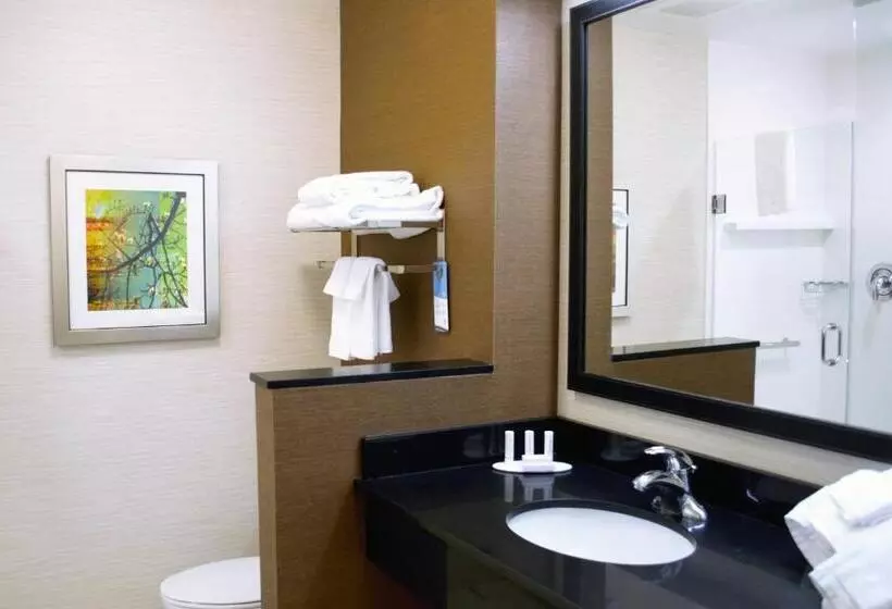 キングサイズベッドのスタンダードルーム, Fairfield Inn & Suites By Marriott Stroudsburg Bartonsville/poconos