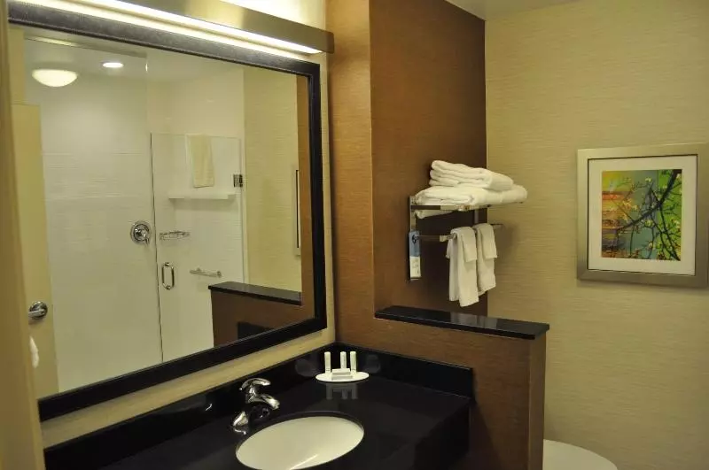 キングサイズベッドのスタンダードルーム, Fairfield Inn & Suites By Marriott Stroudsburg Bartonsville/poconos