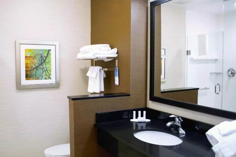 キングサイズベッドのスタンダードルーム, Fairfield Inn & Suites By Marriott Stroudsburg Bartonsville/poconos