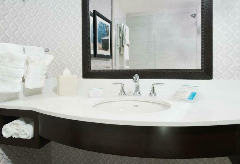 اتاق استاندارد با تخت بزرگ, Hilton Garden Inn Burbank Los Angeles