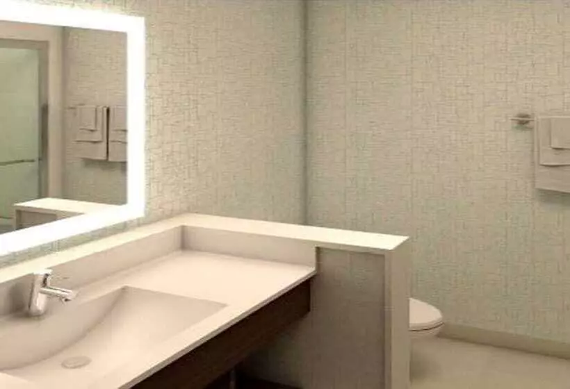 Standard-huone, Holiday Inn Express Fullerton Anaheim, An Ihg