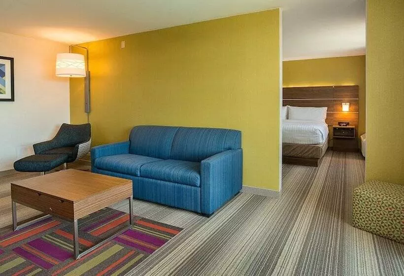 Sviitti Liikuntarajoitteisille, Holiday Inn Express Fullerton Anaheim, An Ihg