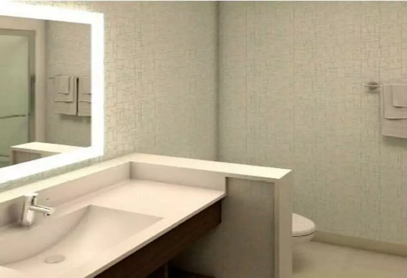 Standard-huone Parivuode, Holiday Inn Express Fullerton Anaheim, An Ihg