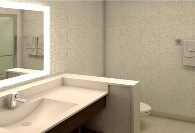 带大床的套房, Holiday Inn Express Fullerton Anaheim, An Ihg