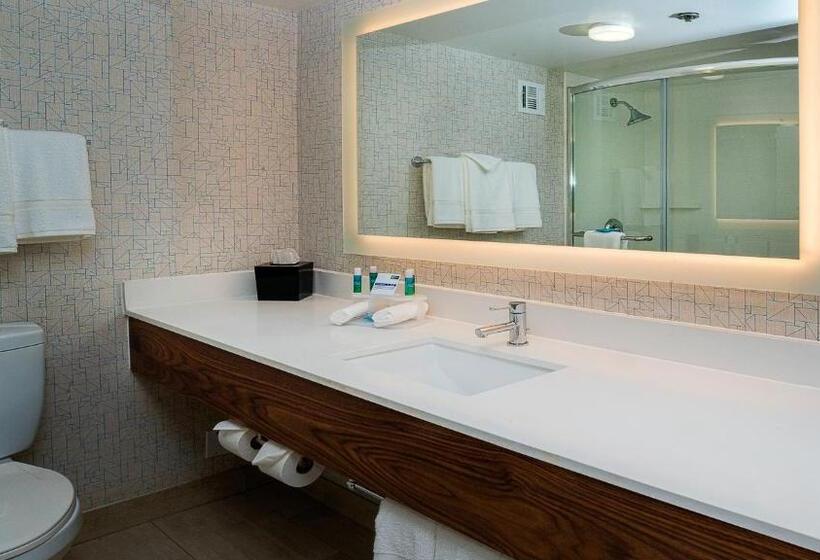 Люкс Кровать Кинг, Holiday Inn Express Fullerton Anaheim, An Ihg