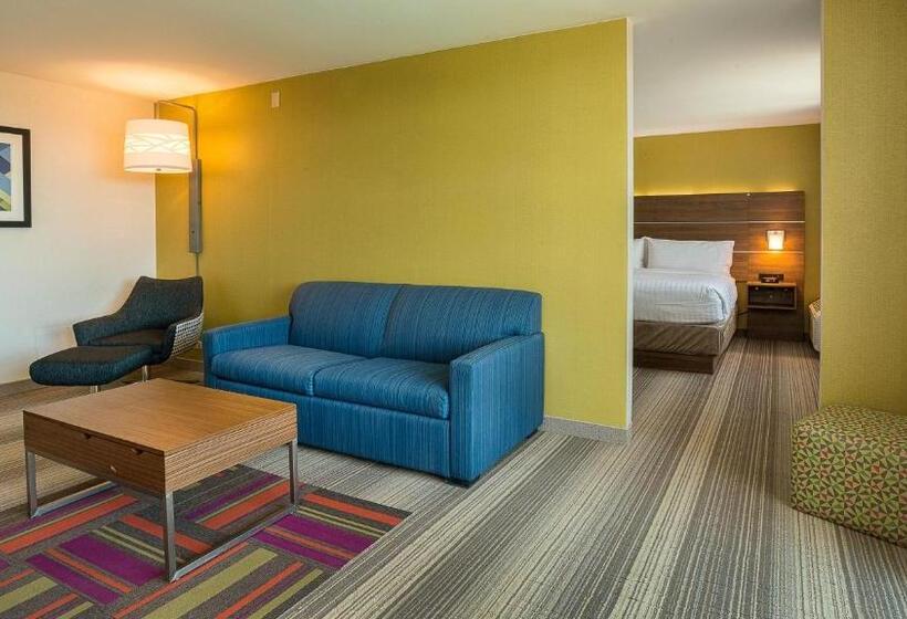带大床的套房, Holiday Inn Express Fullerton Anaheim, An Ihg