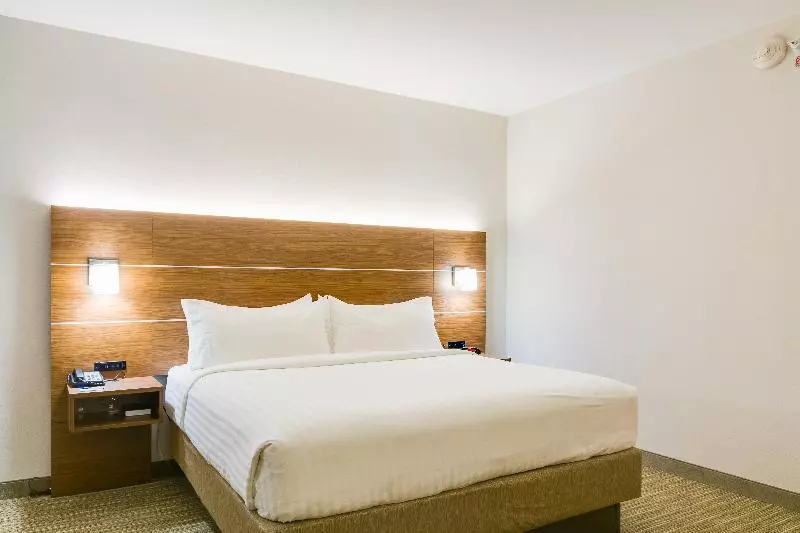 キングサイズベッドのスタンダードルーム, Holiday Inn Express & Suites Russellville, An Ihg