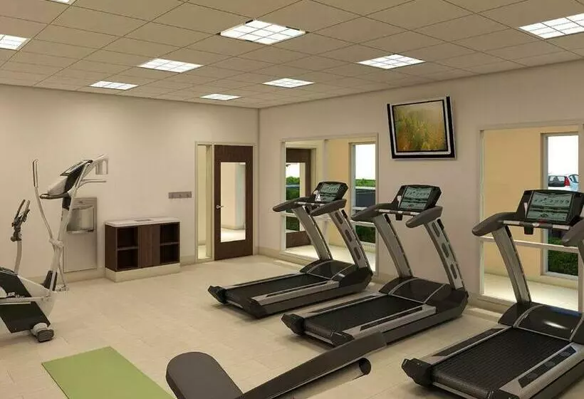身障者適用キングサイズベッドルーム, Holiday Inn Express & Suites Russellville, An Ihg