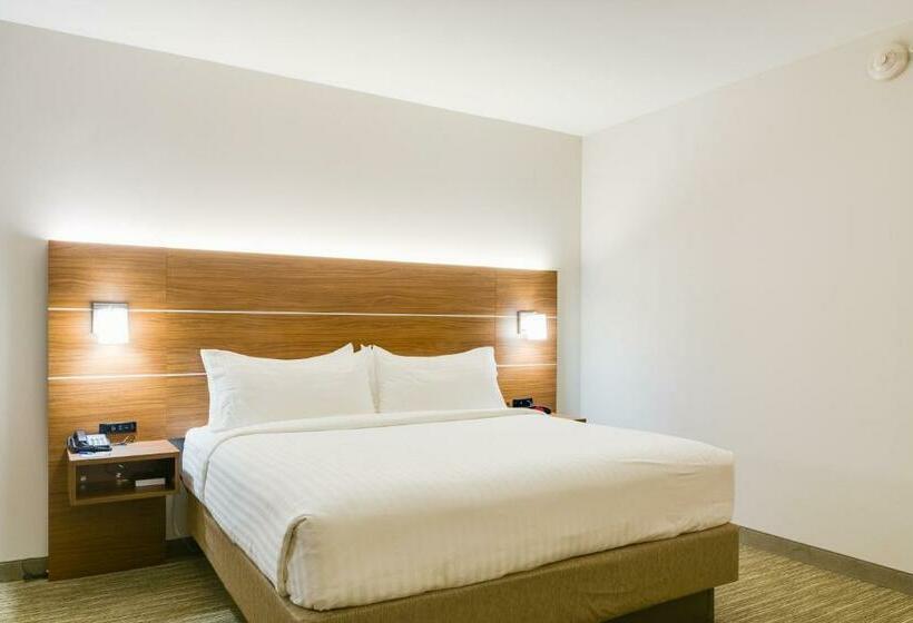 غرفة قياسية سرير كينج لذوى الإحتياجات الخاصة, Holiday Inn Express & Suites Russellville, An Ihg