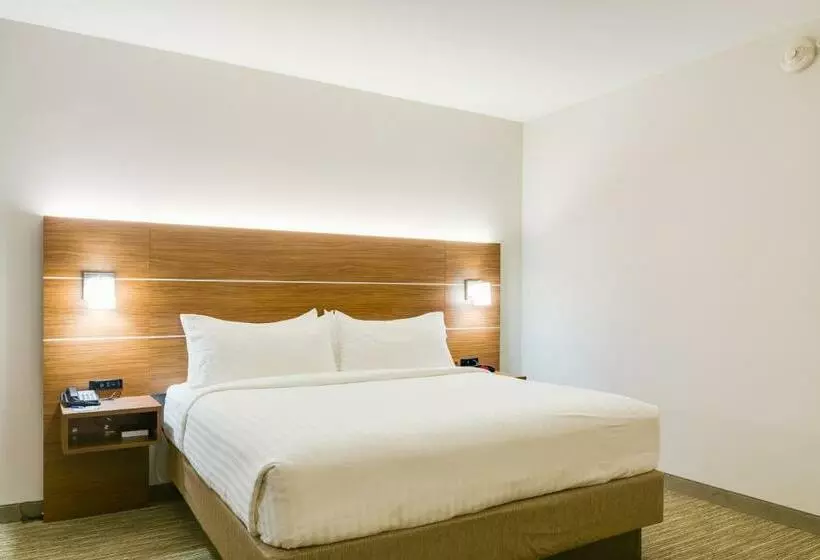 身障者適用キングサイズベッドルーム, Holiday Inn Express & Suites Russellville, An Ihg