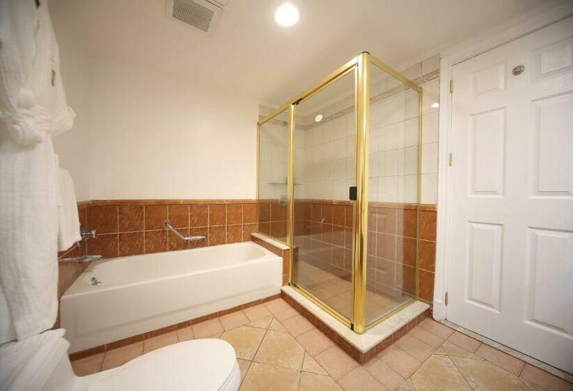 스탠다드 스튜디오, Infinity Tower Suites