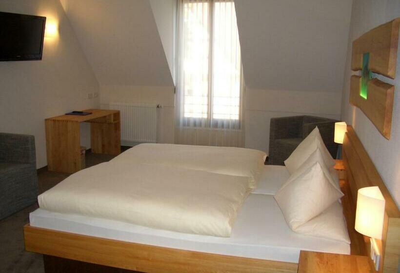 Номер Стандарт, Karpfenhotel & Herrenhaus Im Gasthaus Sindel Buckel