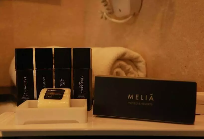 プレミアムルーム, Melia Makassar