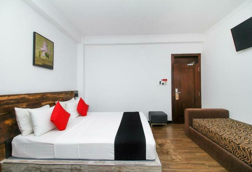 豪华房间, Sasha Transit