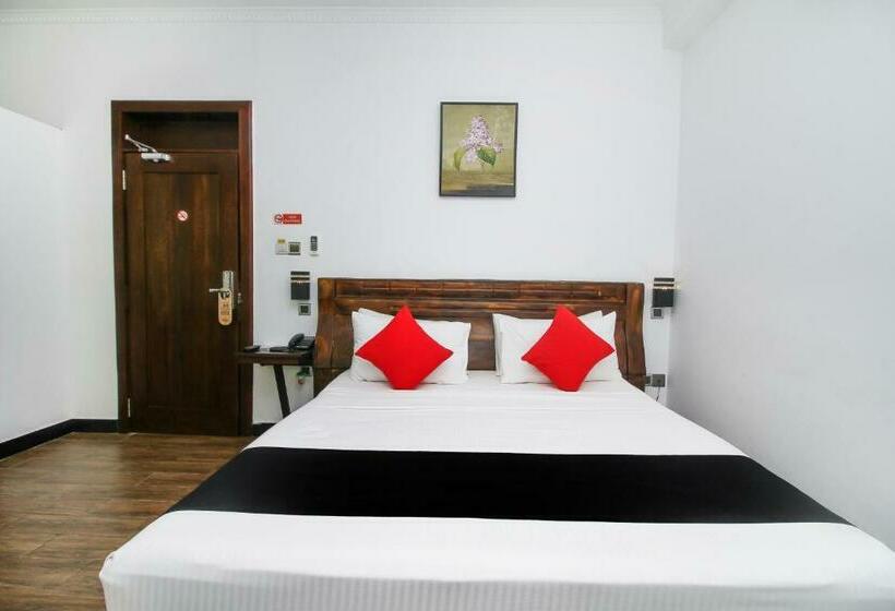 标准间, Sasha Transit