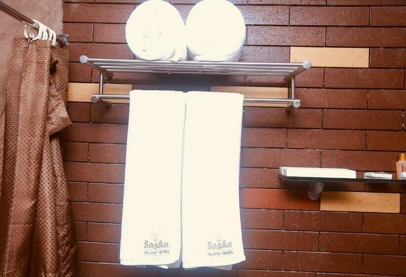 标准间, Sasha Transit