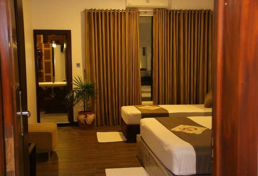 标准间, Sasha Transit