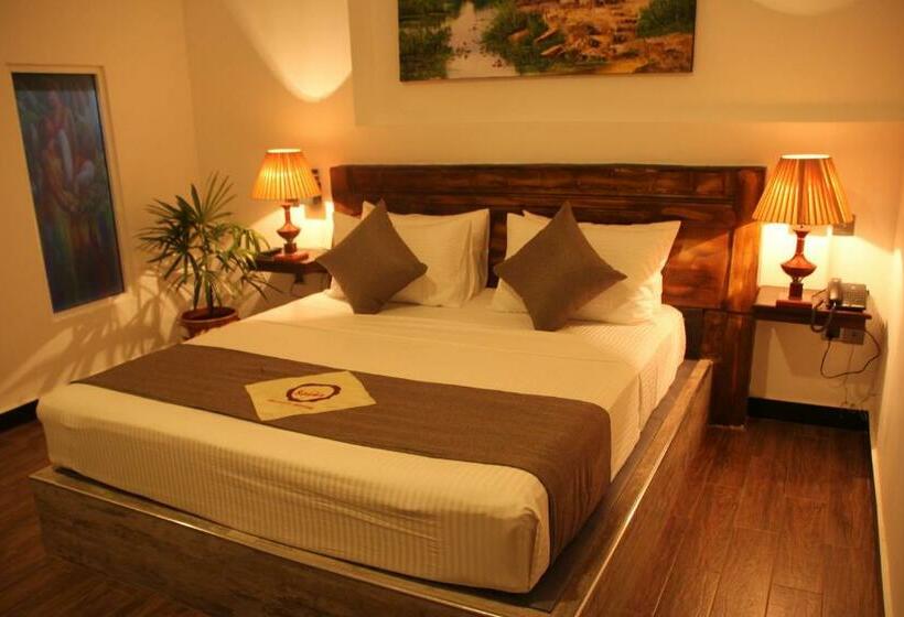 标准间, Sasha Transit