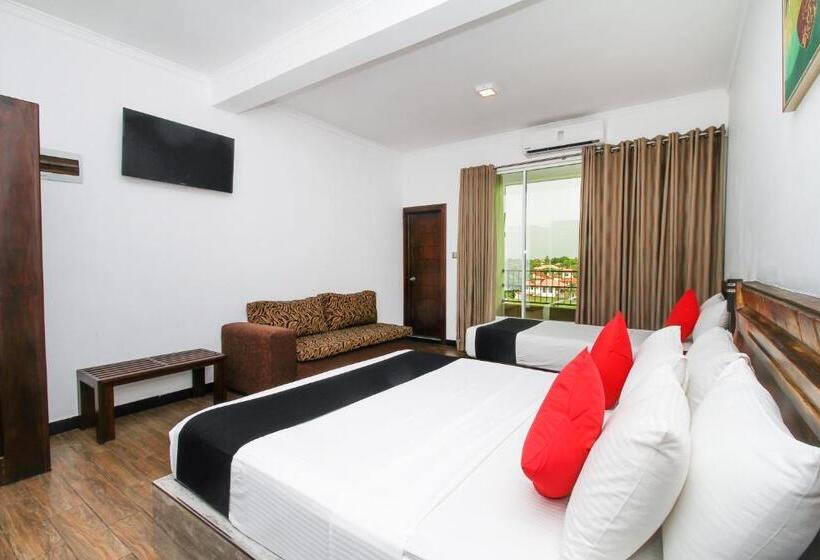 豪华三人间, Sasha Transit