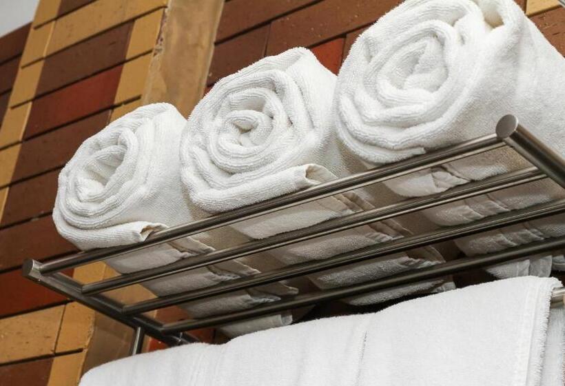 标准单人间, Sasha Transit