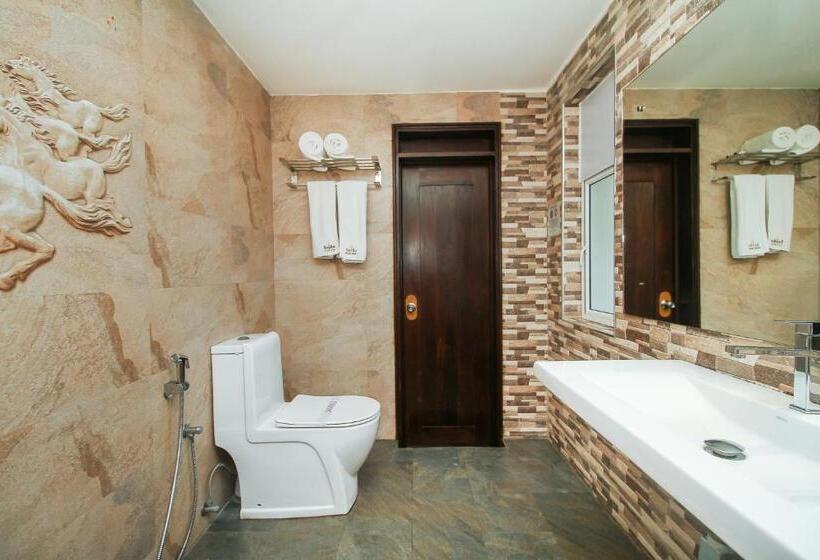 标准间, Sasha Transit