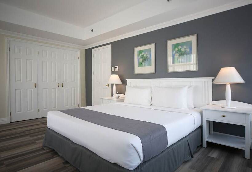 Suíte, Infinity Tower Suites