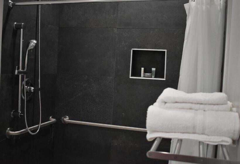 身障者適用スタンダードルーム, Blue Star Inn