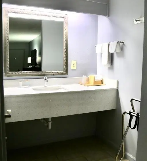 スタンダードルーム, Home Inn & Suites Orlando Apopka