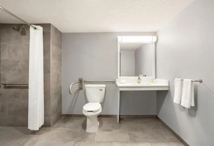 スタンダードシングルルーム, Home Inn & Suites Orlando Apopka