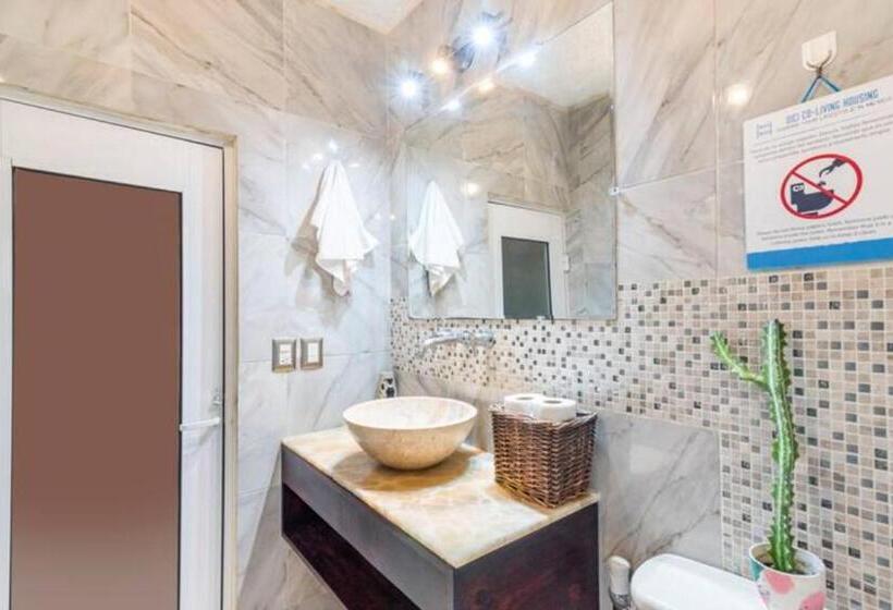 سرير فى غرفة مشتركه, Dici Coliving Housing