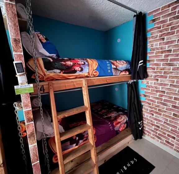 ルームシェアのワンベッド, Dici Coliving Housing
