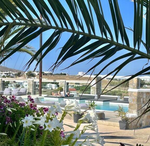 شقة غرفة نوم واحدة بالطابق الأرضى, Crystal Suites