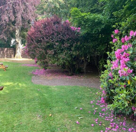 חדר דלוקס, Bennachie Lodge Hotel In Kemnay