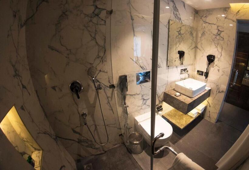 استودیوی استاندارد, Connaught Royale