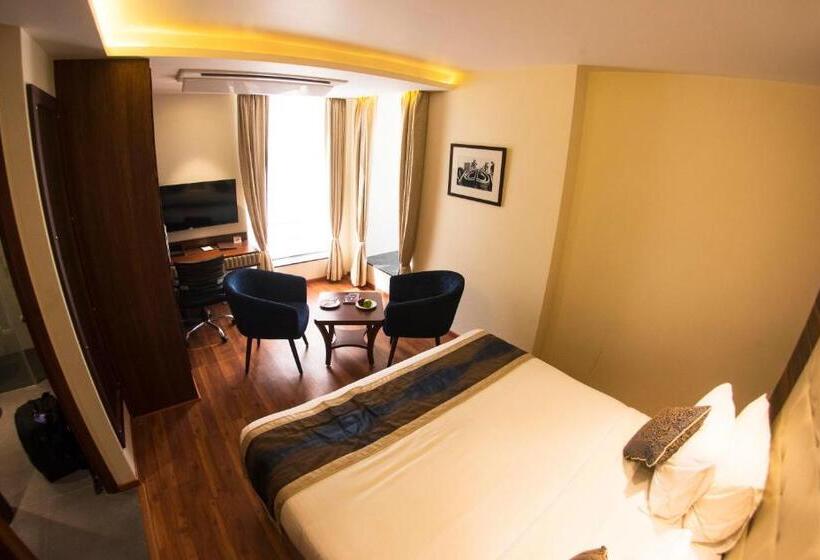 Студия Стандарт, Connaught Royale