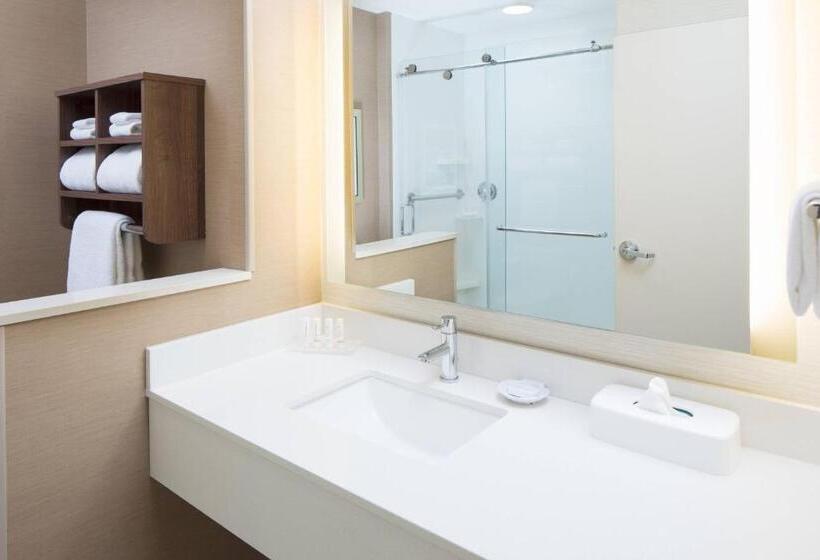 غرفة قياسية سرير كينج, Fairfield Inn & Suites By Marriott Savannah Downtown Historic District