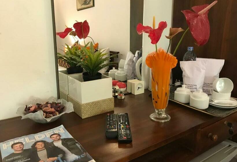 디럭스 룸, Heladiv