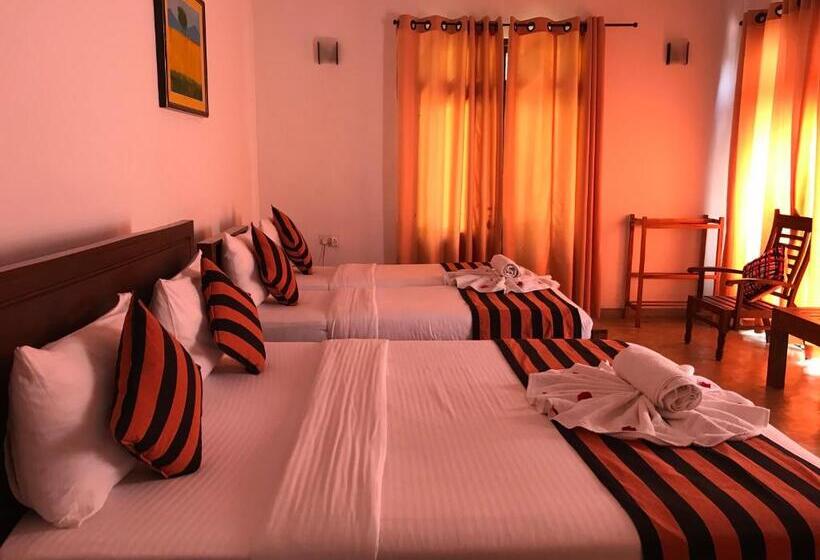 디럭스 패밀리 룸, Heladiv