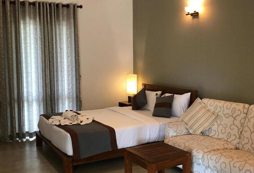 수피리어 패밀리 룸, Heladiv